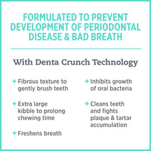 Nutrience Care Oral Health – Cat